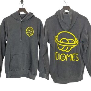 3Landers Biomes Gray Hoodie Sweatshirt Medium